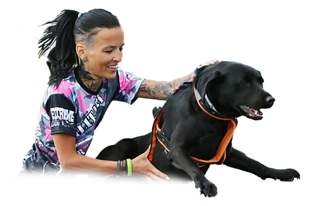 GEROY DOG