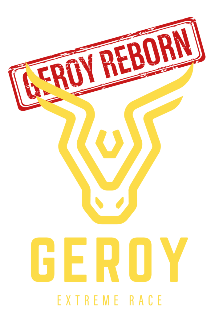 LOGO_geroy_reborn
